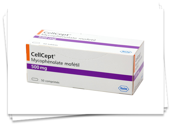 Cellcept for ocular myasthenia – Blog about body and health Cellcept for ocular myasthenia – Blog about body and health
