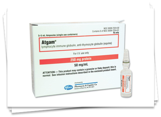 Stagam Stagam
